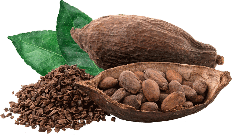 Socola & cacao